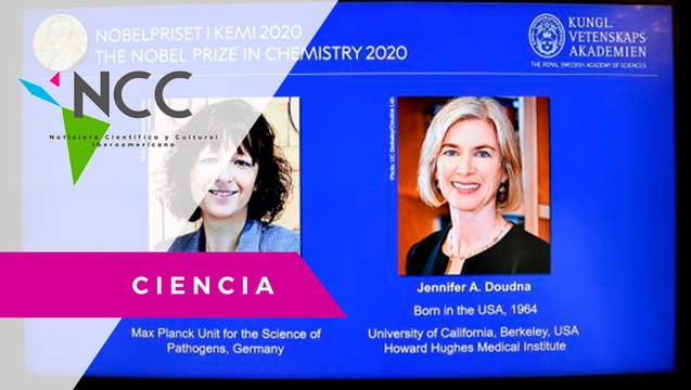 Dos mu­je­res ge­ne­tis­tas son ga­lar­do­na­das con el No­bel de Quí­mi­ca 2020