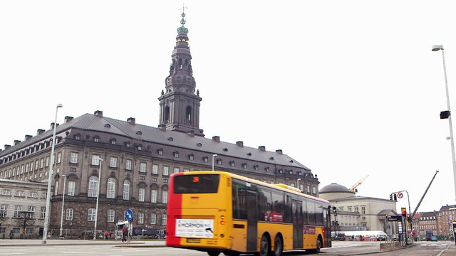 Mutation du Covid-19 : le Danemark va abattre tous ses visons