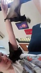 Adorable Bat Doesn't Like Buddy's Wing Flaps