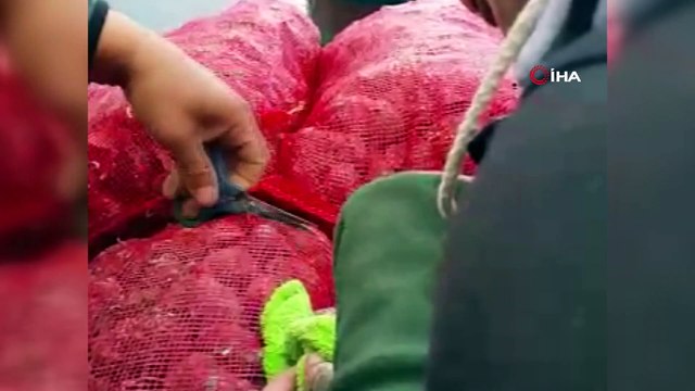 Soluk borusuna olta iğnesi takılan martıyı vatandaşlar kurtardı