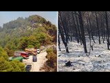 Vatra 4 ditë aktive, qindra hektarë të djegura në pyllin e Drenies Patos, rrezikohen shtëpitë