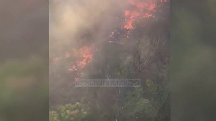 Zjarre masive në Patos! Shkrumbohen pishat, banorët në alarm