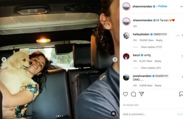 Shawn Mendes e Camila Cabello adotam bichinho de estimação