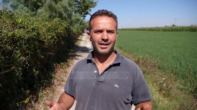 Jeta pranë plehrave/ Banorët ankohen për ndotjen në Lushnje. Bashkia nuk i jep zgjidhje problemit