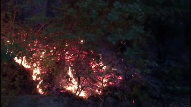 Vazhdojnë zjarret masive në Patos/ Prej ditësh digjen sipërfaqet me pyje