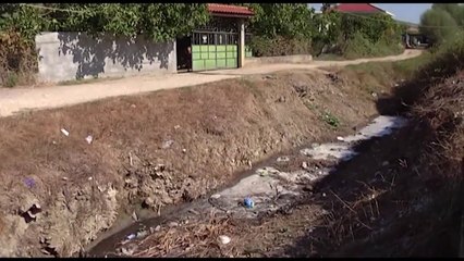 Ora News - Protestë për ndotjen, në Lushnje kërkohet largimi i fabrikës së peshkut
