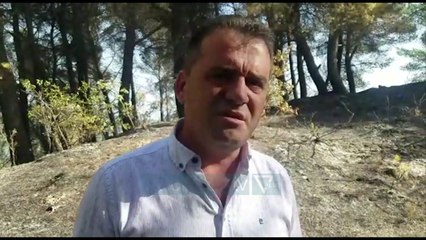 Zjarret në qarkun Fier drejt shuarjes/ Digjen qindra hektare - Vizion Plus