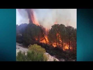 VIJON ZJARRI NË DRENIE TË FIERIT