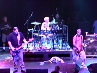 Sublime - Scarlet Begonias