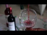 “Ligj i ri për vreshtarinë”/ Çuçi: Më shumë mbështetje për prodhuesit e verës - Vizion Plus