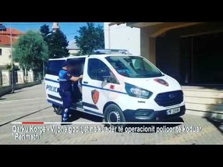 “Perimetri”/ Transportonte 28 emigrantë të paligjshëm, arrestohet 27 vjeçari