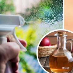 Alimentos con vitamina D para fortalecer el sistema inmune