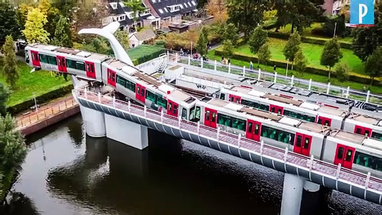 Un métro sauvé par une sculpture de baleine