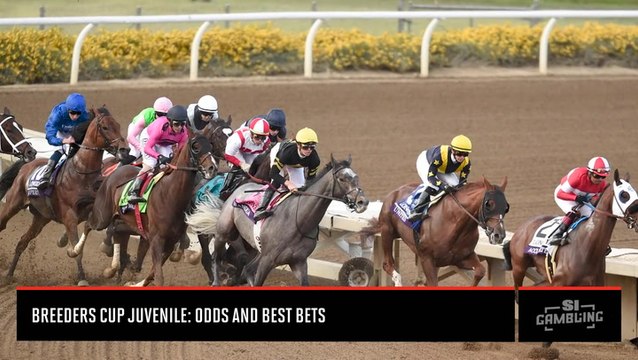 Breeders’ Cup Juvenile: Exacta, Trifecta, Odds and Best Bets