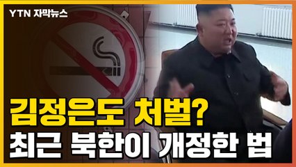 [자막뉴스] 김정은도 규제대상 될까...최근 北이 개정한 법 / YTN