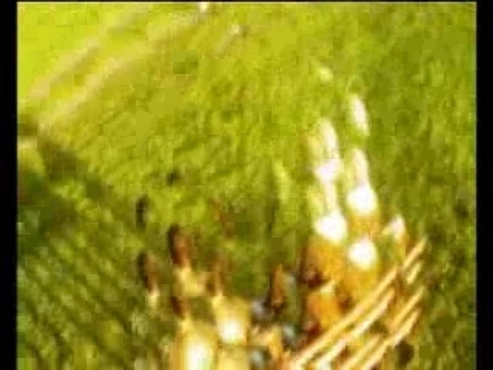 If a Bee Could Blink