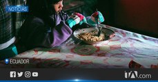 Niños reciben alimentación escolar de forma gratuita -Teleamazonas