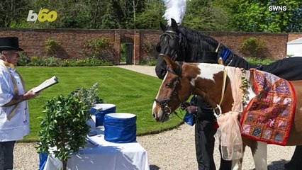Two Horses Tying the Knot in a Special Ceremony