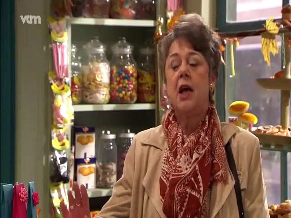 DE KOTMADAM SEIZOEN 23 AFLEVERING 6 JEF DEN ARTIEST.