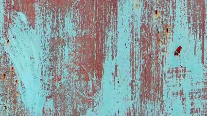 30 Wall Background Textures