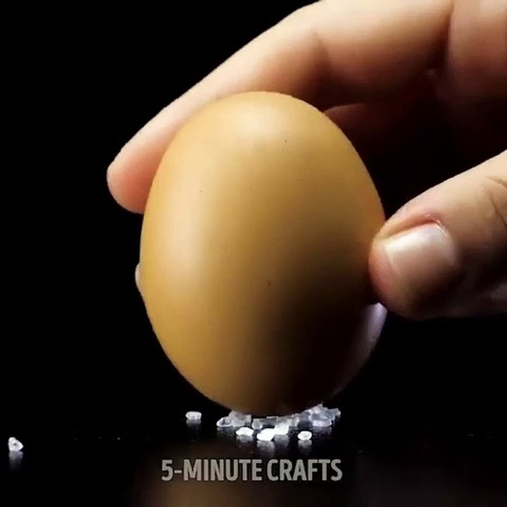 Do it YourSelf Videos 175