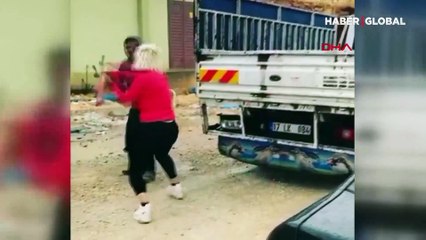 Köpeklerin mamalarını çalan kişiyi beyzbol sopasıyla dövdü