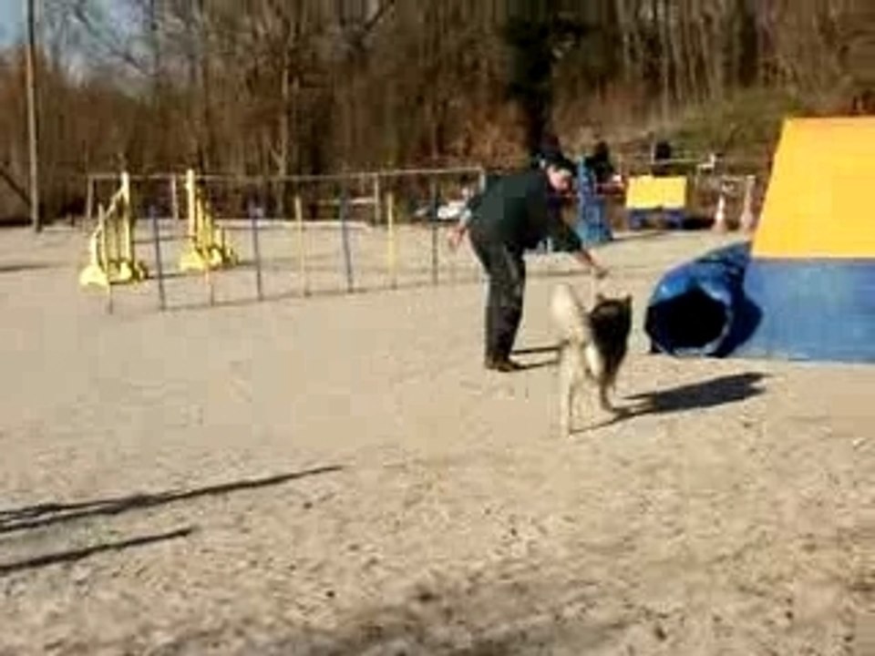 Agility fevrier 2008