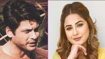 Shehnaz और Arjun Kanungo के Song को देख ये क्या कह गए Sidharth Shukla | FilmiBeat