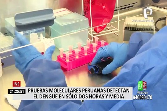 Científicos peruanos crean prueba molecular para detectar presencia del dengue