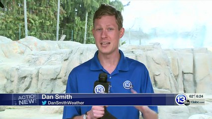 オハイオ州・トレド動物園の間もなく2歳になるボレアリスがウィスコンシン州のヘンリー・ヴィラス動物園へ(Nov06_2020)