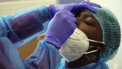 Mutation du Covid  : le Danemark veut  euthanasier 15 millions de visons