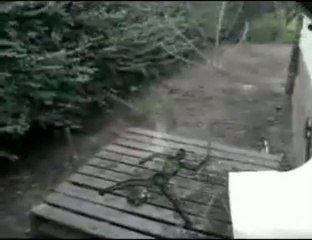 Duende real y captura - Capture real goblin