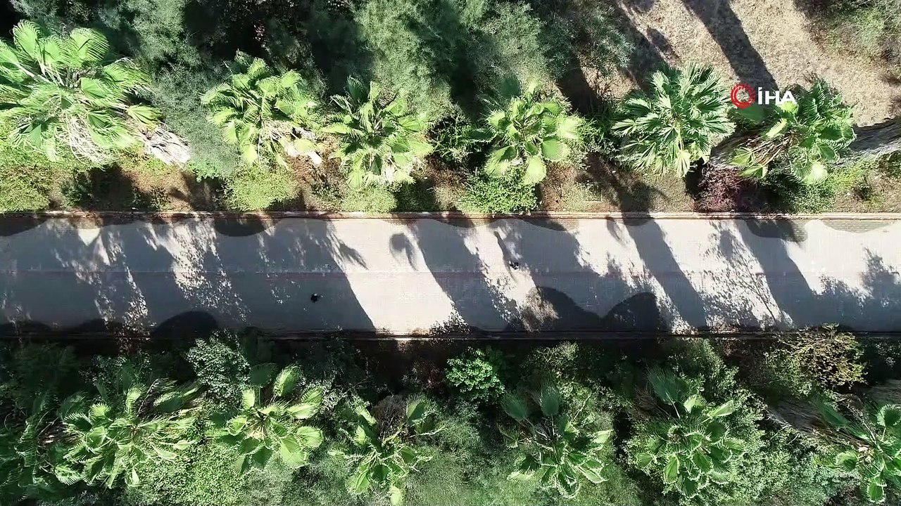 Botanik bahçesindeki kaktüsleri çaldılar
