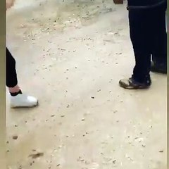 Köpeklerin mamalarını çalan adamı beyzbol sopasıyla dövdü