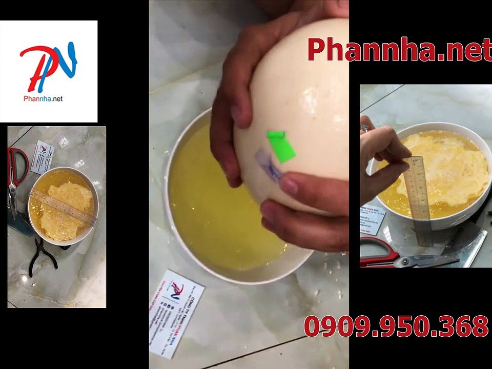 Cách Khui Trứng Đà Điểu Không Bể Vỏ