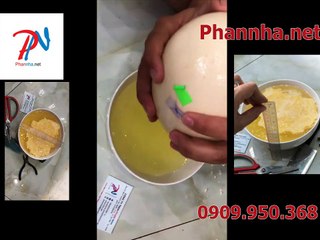 Cách Khui Trứng Đà Điểu Không Bể Vỏ