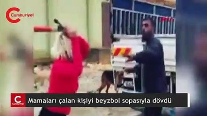 Hayvansever kadın köpeklerin mamalarını çalan kişiyi beyzbol sopasıyla dövdü