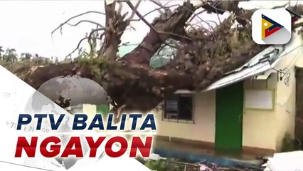 Higit 1,000 eskwelahan, napinsala dahil sa bagyong #RollyPH
