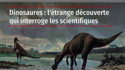 Dinosaures : l'étrange découverte qui interroge les scientifiques