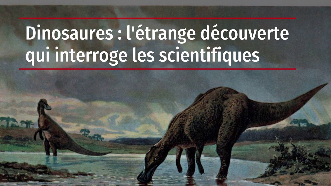 Dinosaures : l'étrange découverte qui interroge les scientifiques