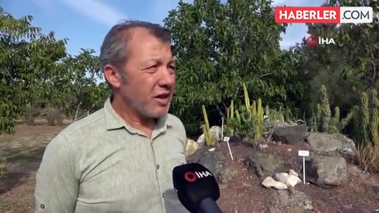 Adana'da Botanik Bahçesi'ndeki kaktüsleri çaldılar