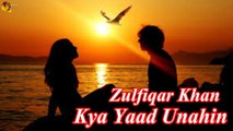 Kya Yaad Unahin | Zulfiqar Khan | Saeed Muneef | Ghazal