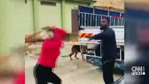 Köpeklerin mamalarını çalan kişiyi beyzbol sopasıyla dövdü | Video