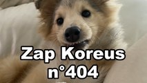 Zap Koreus n°404