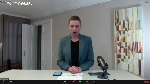 100.000 Nerze pro Tag : Dänemark keult und verhängt Teil-Lockdown