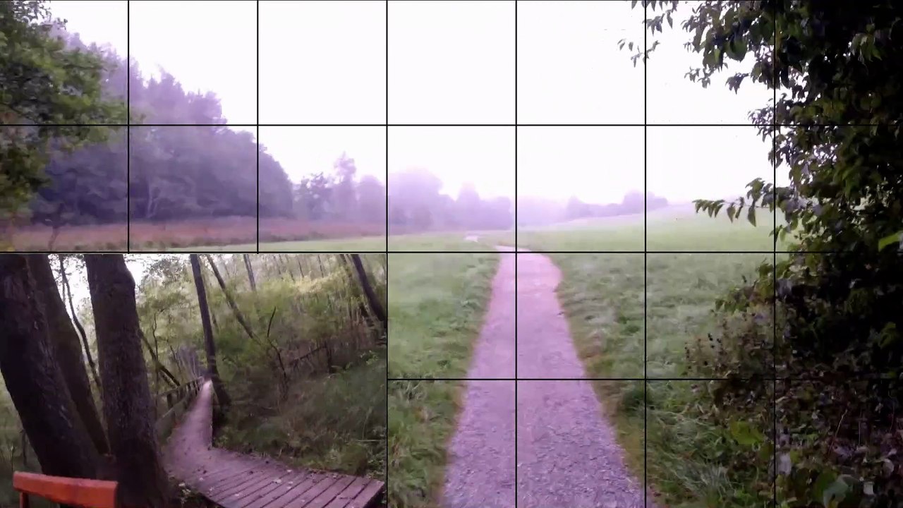 Lauf im Morgennebel: EBE Weiherkette u. Egglburger See Sept 20