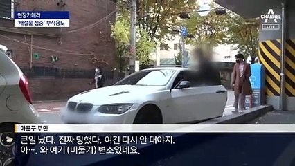 [현장 카메라]그물망에 갇힌 비둘기…‘유해 동물’ 논란