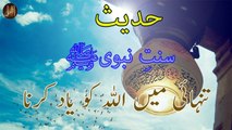 Tanhai Mein Allah Ko Yaad Karna | Sunnat e nabvi | Deen Islam | Hadees