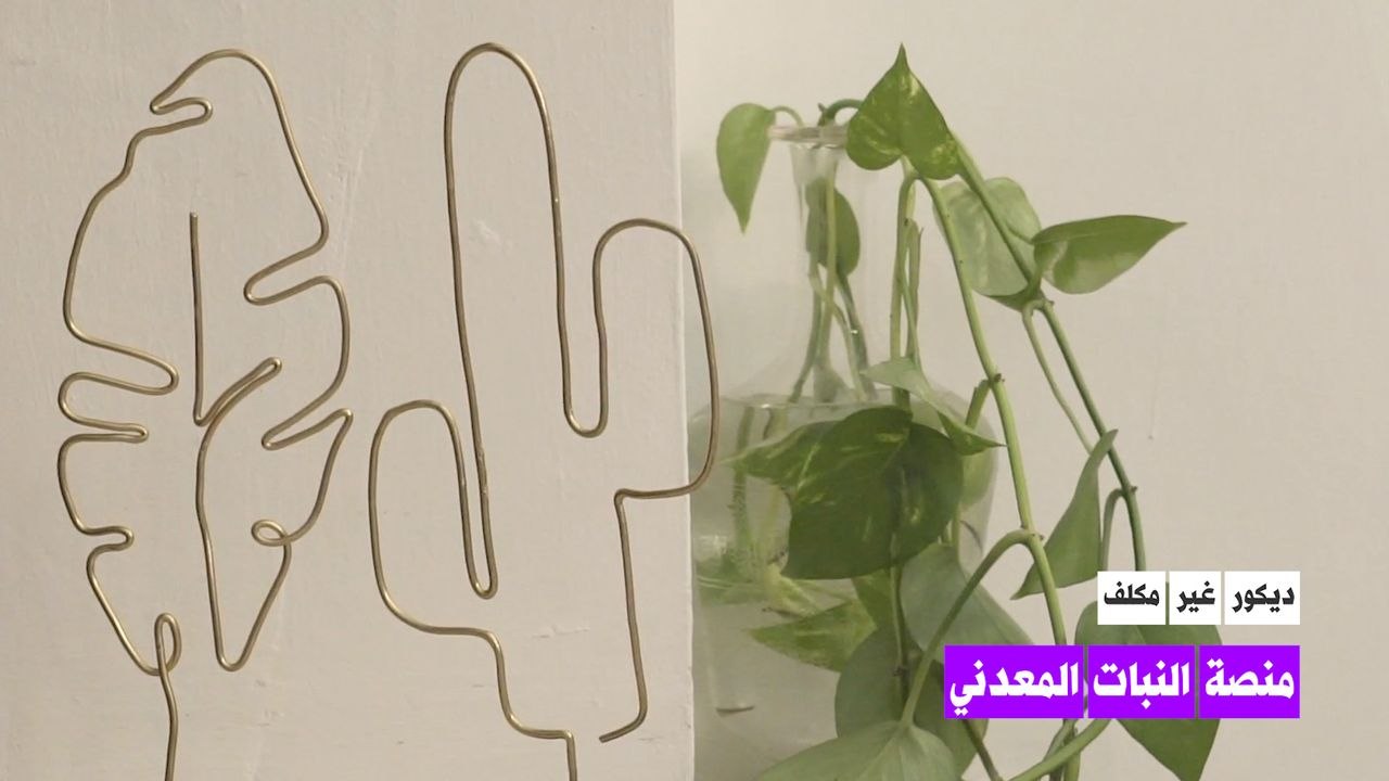 منصة النبات المعدني