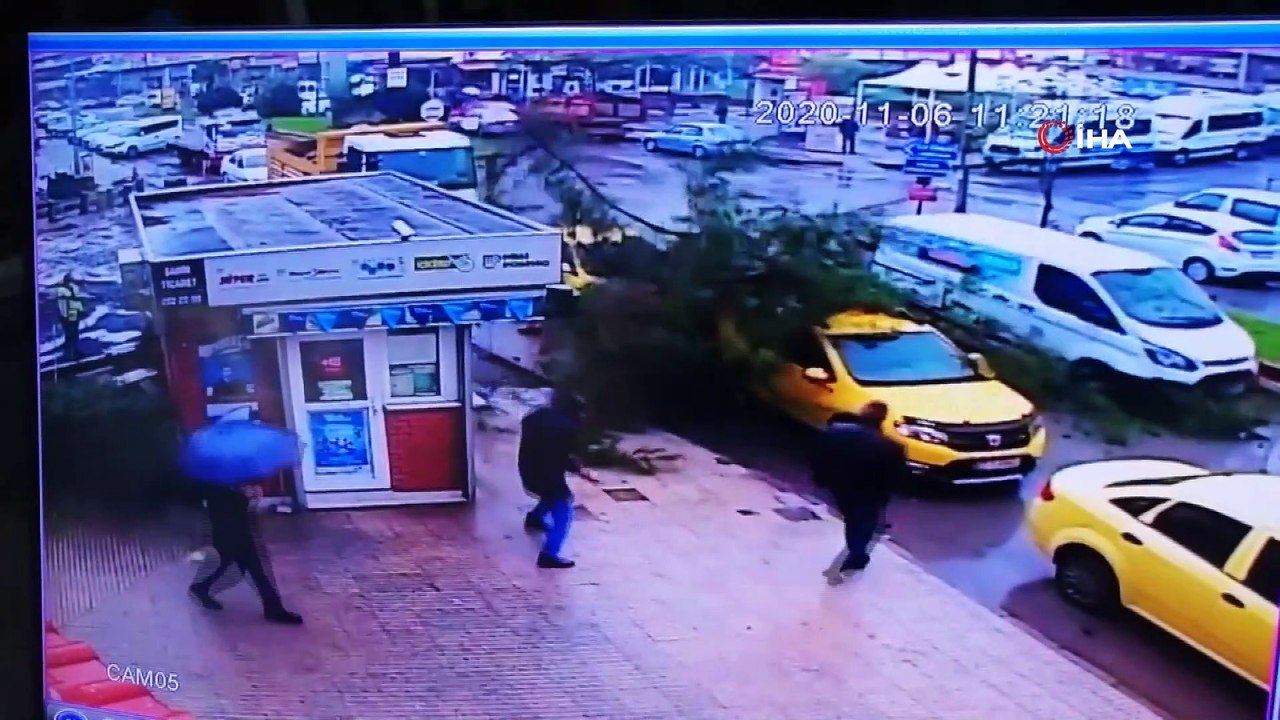 Ağaç durakta bekleyen ticari taksinin üzerine böyle devrildi